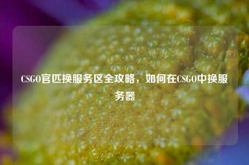 CSGO官匹换服务区全攻略,如何在CSGO中换服务器