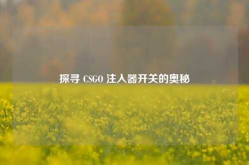 探寻 CSGO 注入器开关的奥秘