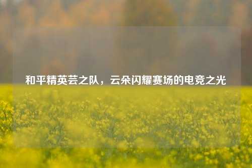 和平精英芸之队,云朵闪耀赛场的电竞之光