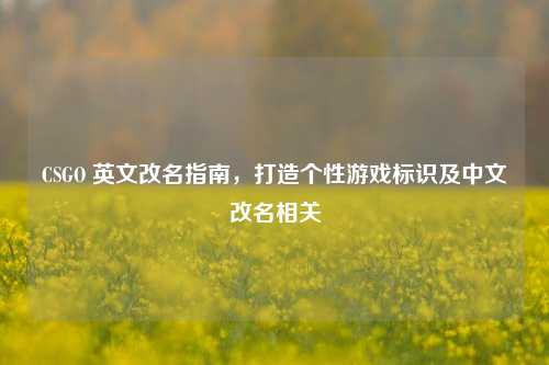 CSGO 英文改名指南，打造个性游戏标识及中文改名相关