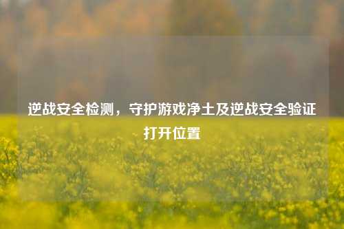 逆战安全检测,守护游戏净土及逆战安全验证打开位置