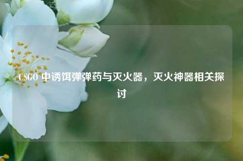 CSGO 中诱饵弹弹药与灭火器,灭火神器相关探讨