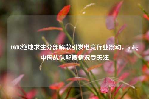 OMG绝地求生分部解散引发电竞行业震动，pubg中国战队解散情况受关注