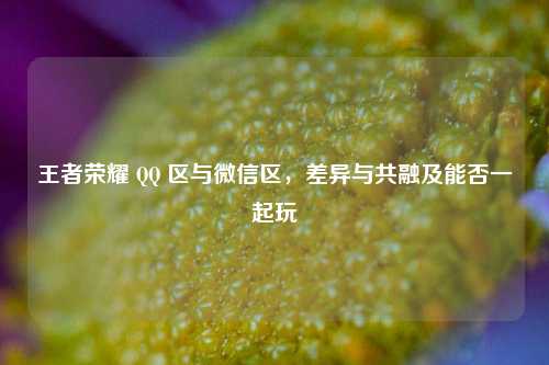 王者荣耀 QQ 区与微信区,差异与共融及能否一起玩