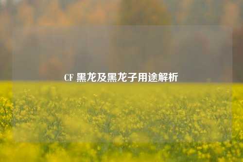 CF 黑龙及黑龙子用途解析
