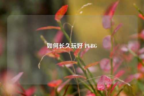 如何长久玩好 PUBG