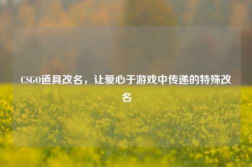 CSGO道具改名,让爱心于游戏中传递的特殊改名