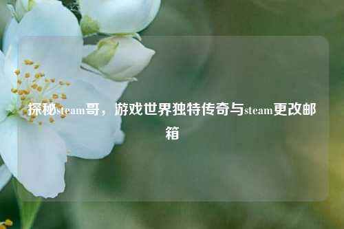 探秘steam哥,游戏世界独特传奇与steam更改邮箱