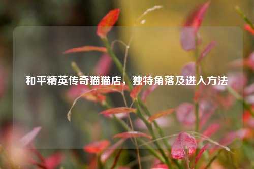 和平精英传奇猫猫店,独特角落及进入方法