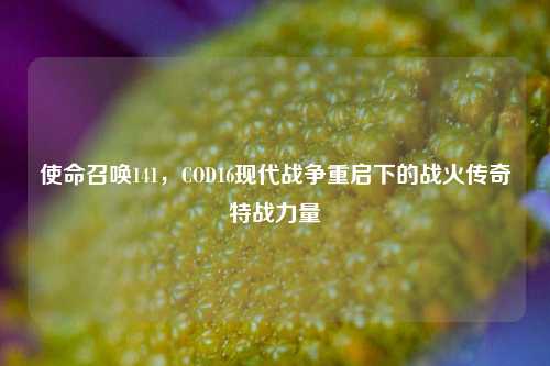 使命召唤141,COD16现代战争重启下的战火传奇特战力量