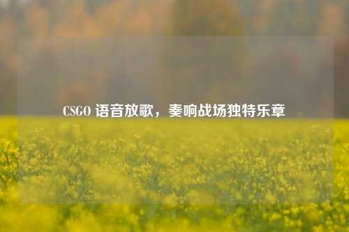 CSGO 语音放歌,奏响战场独特乐章