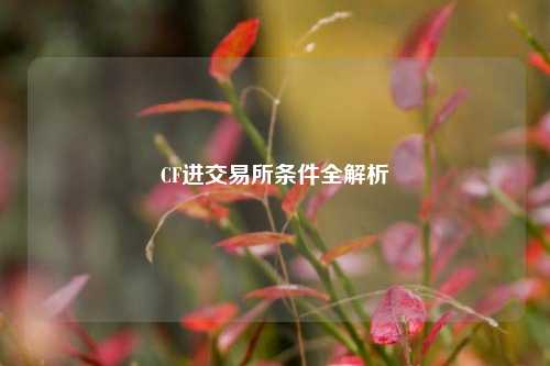 CF进交易所条件全解析