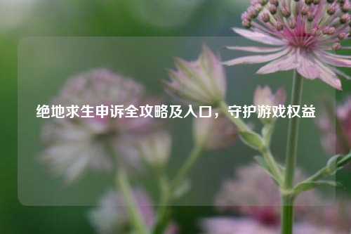 绝地求生申诉全攻略及入口,守护游戏权益