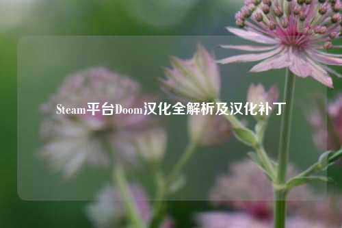 Steam平台Doom汉化全解析及汉化补丁
