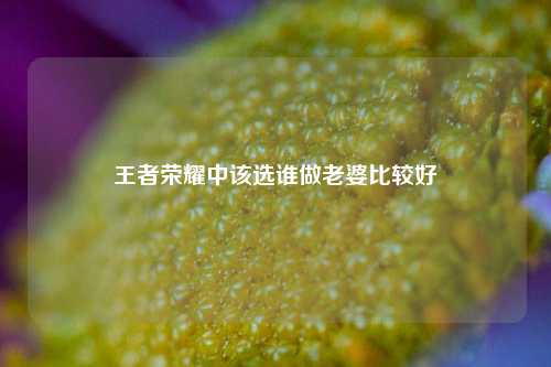 王者荣耀中该选谁做老婆比较好
