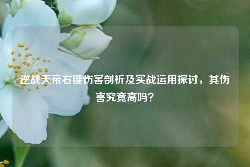逆战天帝右键伤害剖析及实战运用探讨,其伤害究竟高吗?