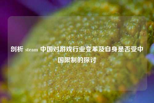 剖析 steam 中国对游戏行业变革及自身是否受中国限制的探讨