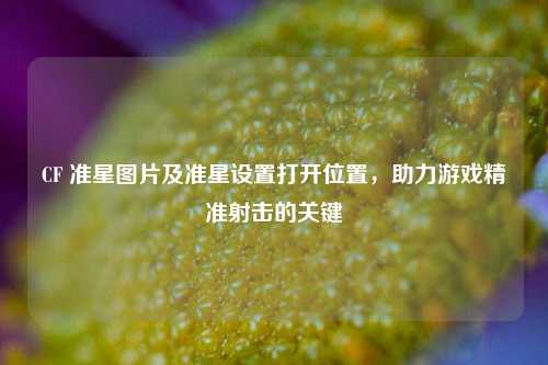 CF 准星图片及准星设置打开位置,助力游戏精准射击的关键