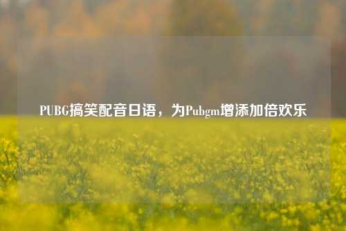 PUBG搞笑配音日语,为Pubgm增添加倍欢乐