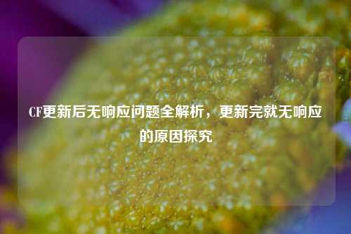 CF更新后无响应问题全解析,更新完就无响应的原因探究