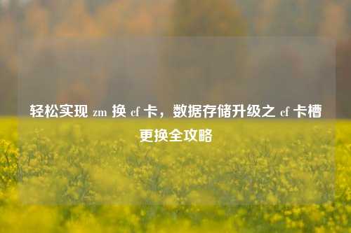 轻松实现 zm 换 cf 卡,数据存储升级之 cf 卡槽更换全攻略