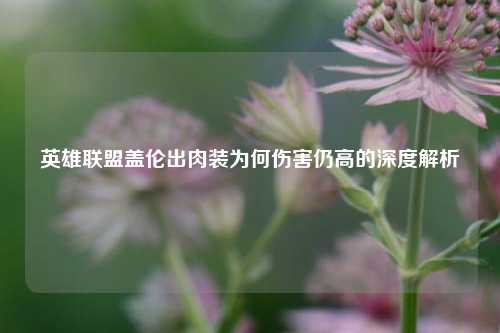 英雄联盟盖伦出肉装为何伤害仍高的深度解析