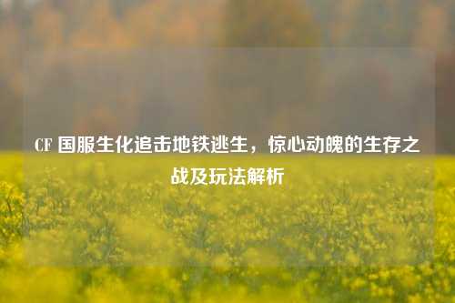 CF 国服生化追击地铁逃生,惊心动魄的生存之战及玩法解析