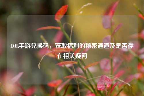 LOL手游兑换码,获取福利的秘密通道及是否存在相关疑问