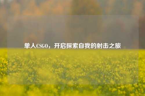 单人CSGO，开启探索自我的射击之旅