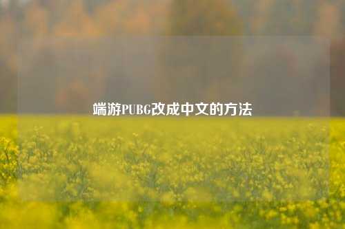端游PUBG改成中文的方法