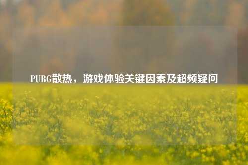 PUBG散热,游戏体验关键因素及超频疑问