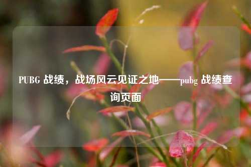 PUBG 战绩,战场风云见证之地——pubg 战绩查询页面