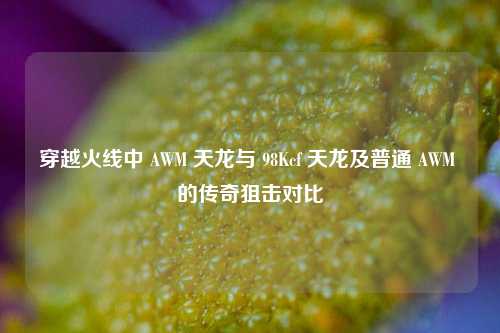 穿越火线中 AWM 天龙与 98Kcf 天龙及普通 AWM 的传奇狙击对比