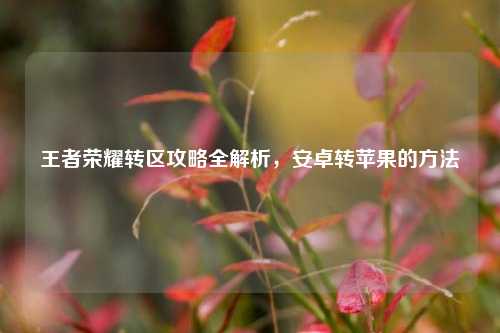 王者荣耀转区攻略全解析,安卓转苹果的方法