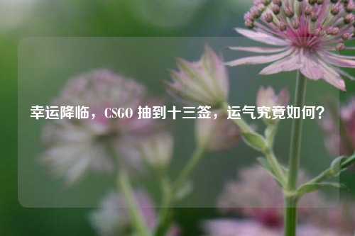 幸运降临,CSGO 抽到十三签,运气究竟如何?