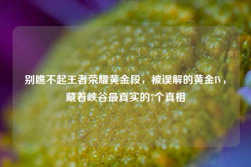 别瞧不起王者荣耀黄金段，被误解的黄金IV，藏着峡谷最真实的7个真相
