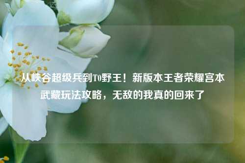从峡谷超级兵到T0野王!新版本王者荣耀宫本武藏玩法攻略,无敌的我真的回来了