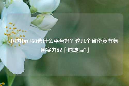 国内玩CSGO选什么平台好?这几个省份竟有氛围实力双「地域buff」