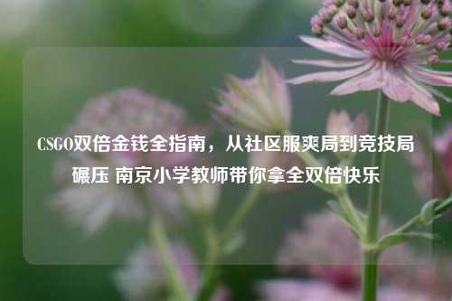CSGO双倍金钱全指南，从社区服爽局到竞技局碾压 南京小学教师带你拿全双倍快乐