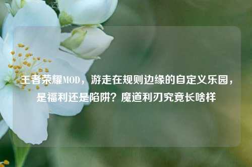 王者荣耀MOD,游走在规则边缘的自定义乐园,是福利还是陷阱?魔道利刃究竟长啥样