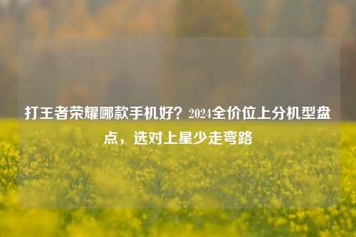 打王者荣耀哪款手机好?2024全价位上分机型盘点,选对上星少走弯路
