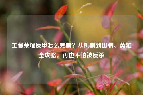 王者荣耀反甲怎么克制?从机制到出装、英雄全攻略,再也不怕被反杀