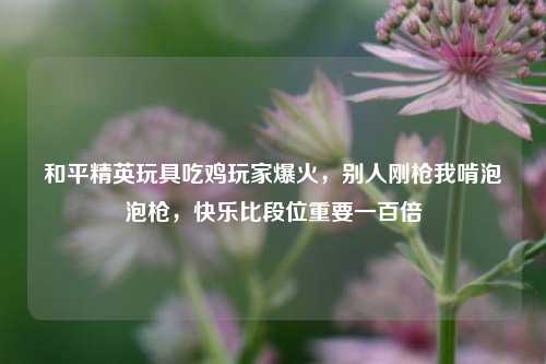 和平精英玩具吃鸡玩家爆火,别人刚枪我啃泡泡枪,快乐比段位重要一百倍