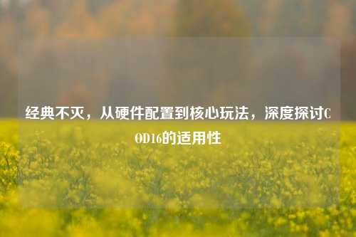 经典不灭,从硬件配置到核心玩法,深度探讨COD16的适用性