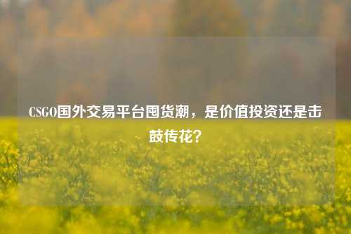 CSGO国外交易平台囤货潮,是价值投资还是击鼓传花?