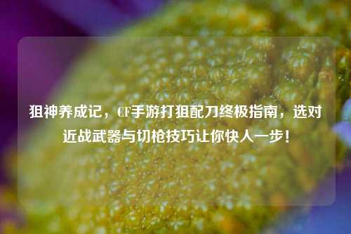 狙神养成记,CF手游打狙配刀终极指南,选对近战武器与切枪技巧让你快人一步!