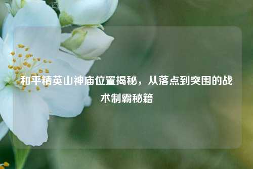 和平精英山神庙位置揭秘,从落点到突围的战术制霸秘籍