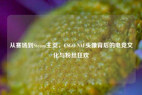 从赛场到Steam主页,CSGO NAF头像背后的电竞文化与粉丝狂欢