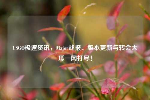 CSGO极速资讯,Major战报、版本更新与转会大瓜一网打尽!