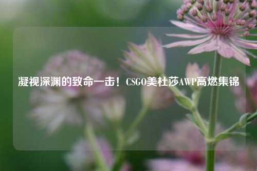 凝视深渊的致命一击!CSGO美杜莎AWP高燃集锦